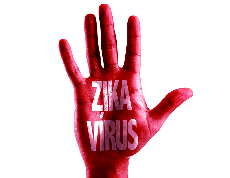 7 informações para saber sobre o vírus da Zika