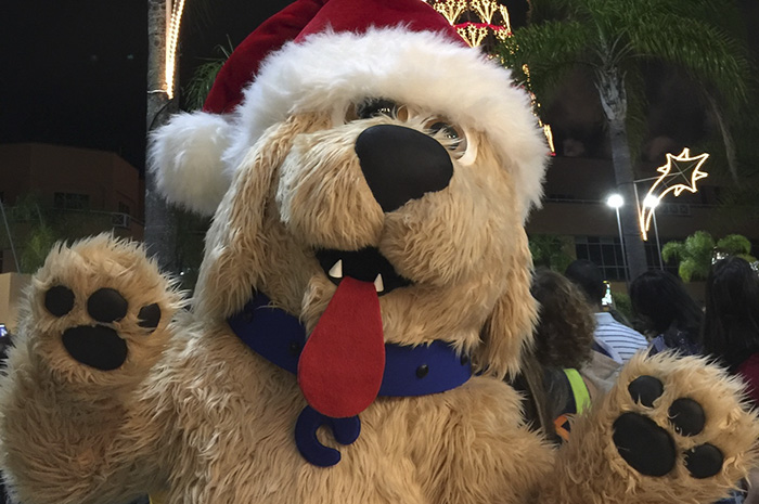 Cachorro Caramelo desembarca no Natal do Downtown