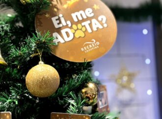 Árvore de Natal pet no Recreio Shopping estimula adoção no final do ano