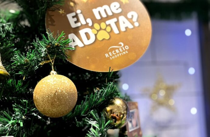 Árvore de Natal pet no Recreio Shopping estimula adoção no final do ano