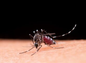 Condomínios preparados para enfrentar a dengue
