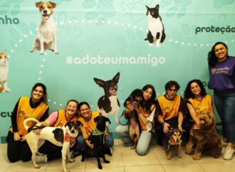 Shopping Metropolitano Barra promove feira de adoção de cães e gatos