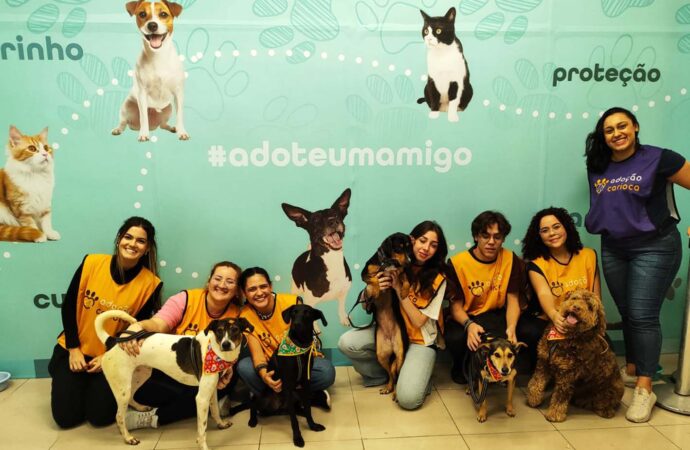 Shopping Metropolitano Barra promove feira de adoção de cães e gatos