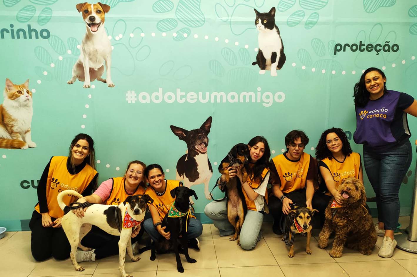 feira de adoção de cães e gatos