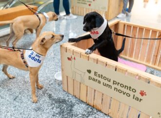 Recreio Shopping promove neste sábado campanha de Adoção Pet