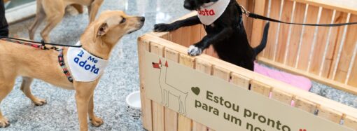 Recreio Shopping promove neste sábado campanha de Adoção Pet