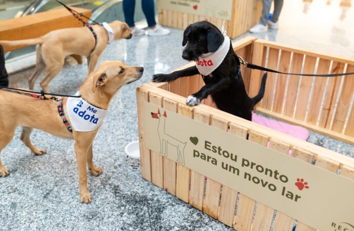 Recreio Shopping promove neste sábado campanha de Adoção Pet