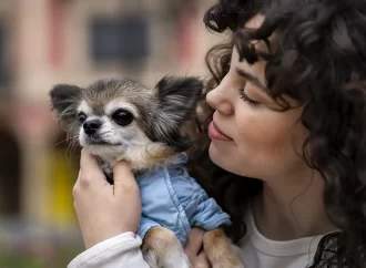 Pet Days no Américas Shopping: evento pet com atrações especiais para tutores e animais