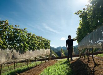 Vinícola Maturano, em Teresópolis: um novo marco para o enoturismo na Serra Fluminense