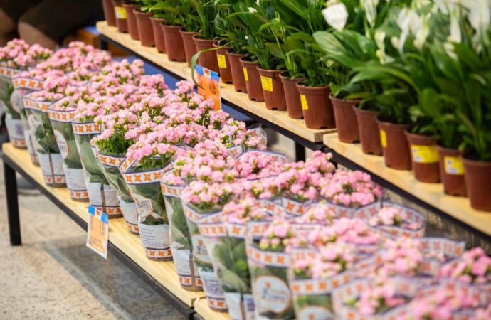Dia das Mães: confira as opções da rede de Supermercados Guanabara