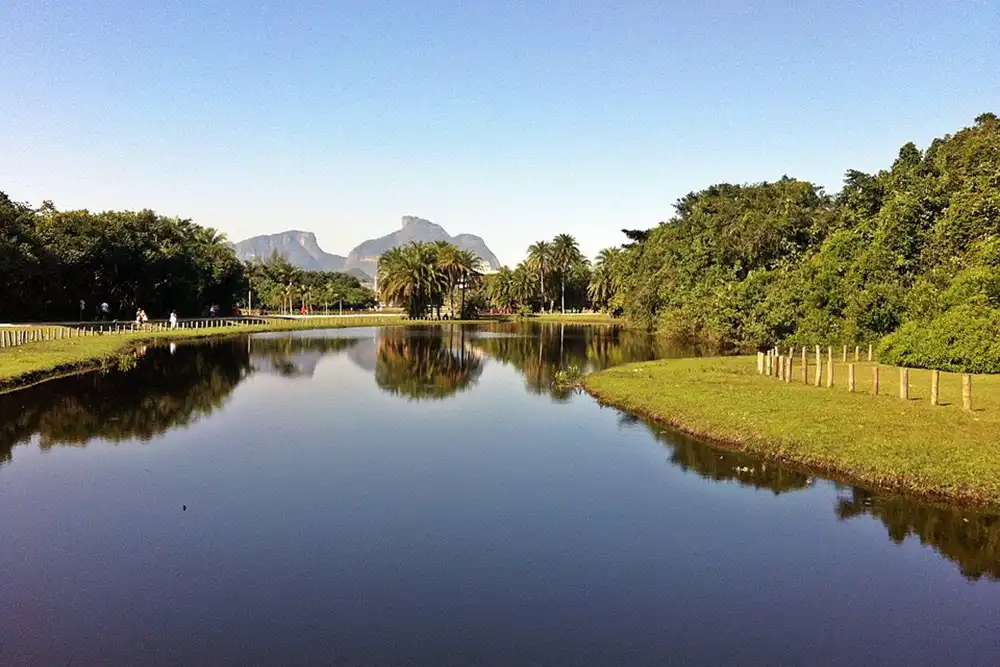 Bosque da Barra preserva um raro refúgio de restinga no coração da Barra da Tijuca